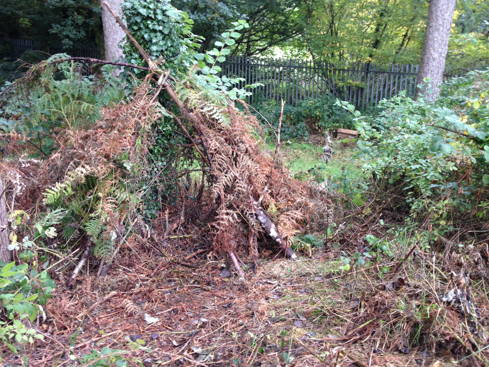 Download this Forest School Den picture